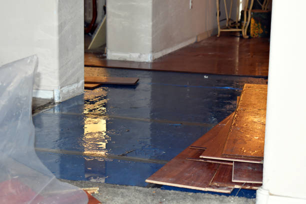 Professional Sewage Cleanup technician working in Bailey, MI